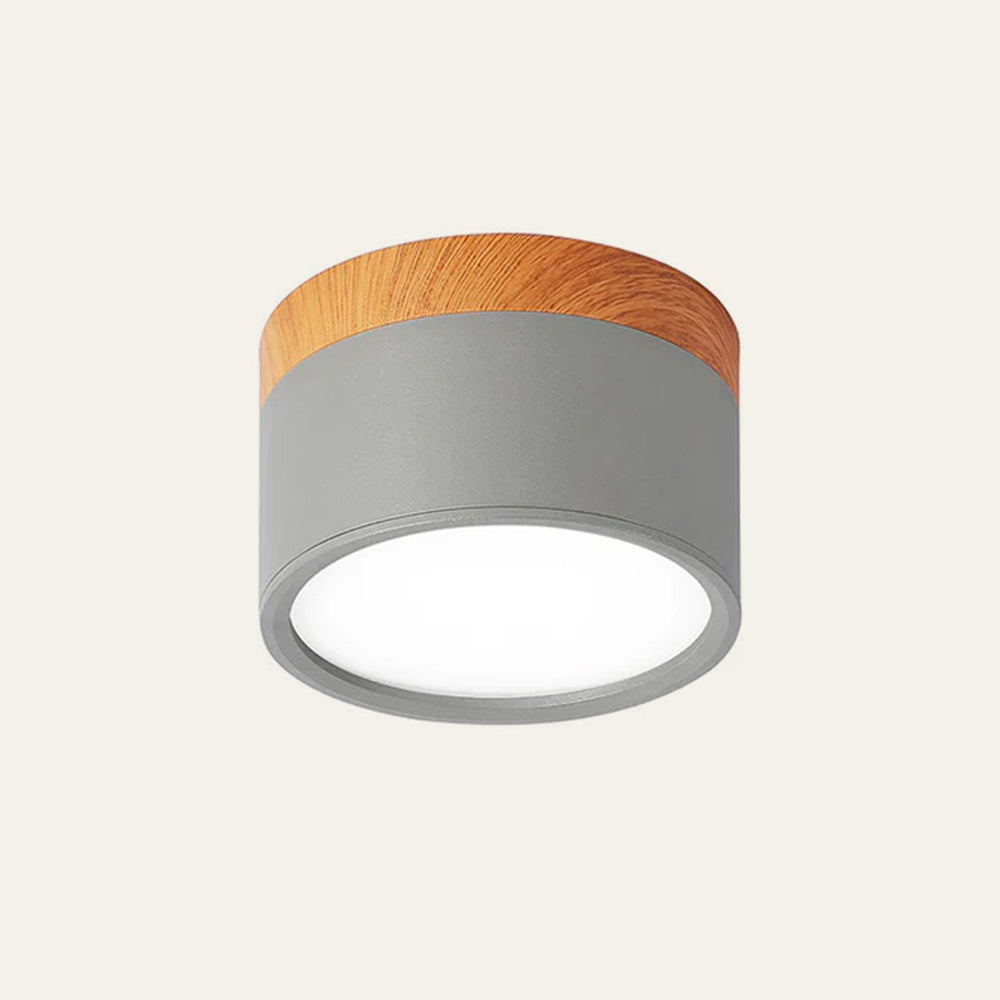 Surface Mounted Flush Mount Ceiling Light LED Lighting