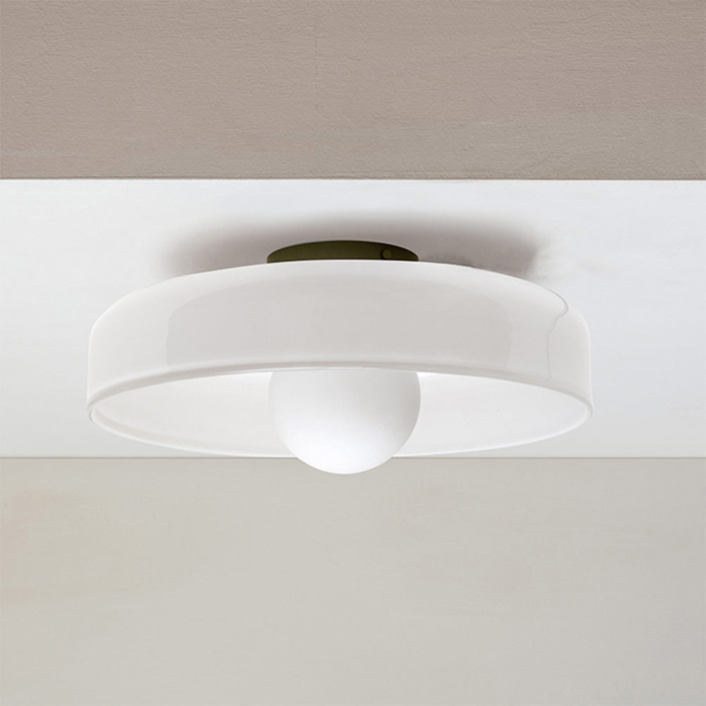 Surface Mounted Flush Mount Ceiling Light Glass Shade
