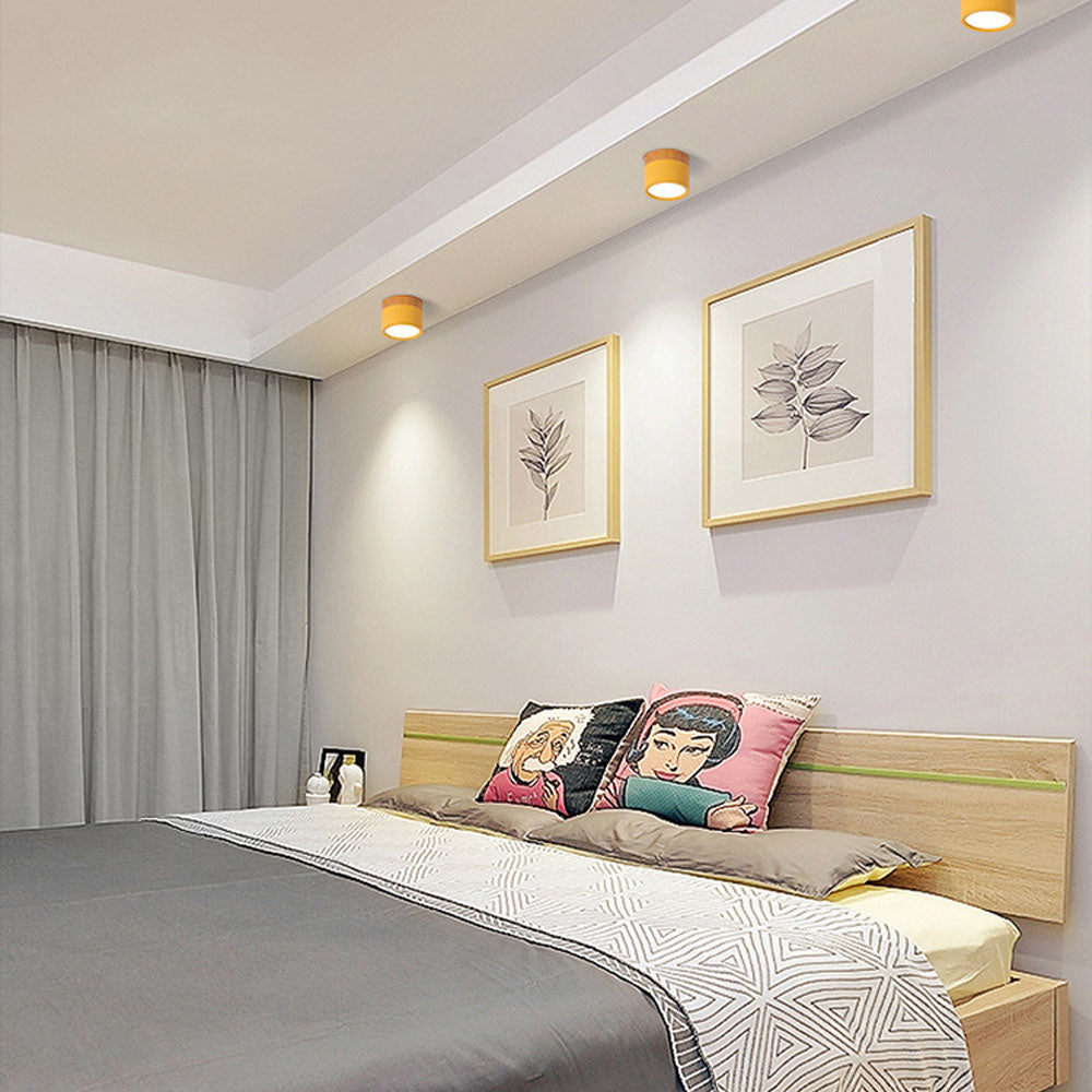 Surface Mounted Flush Mount Ceiling Light LED Lighting