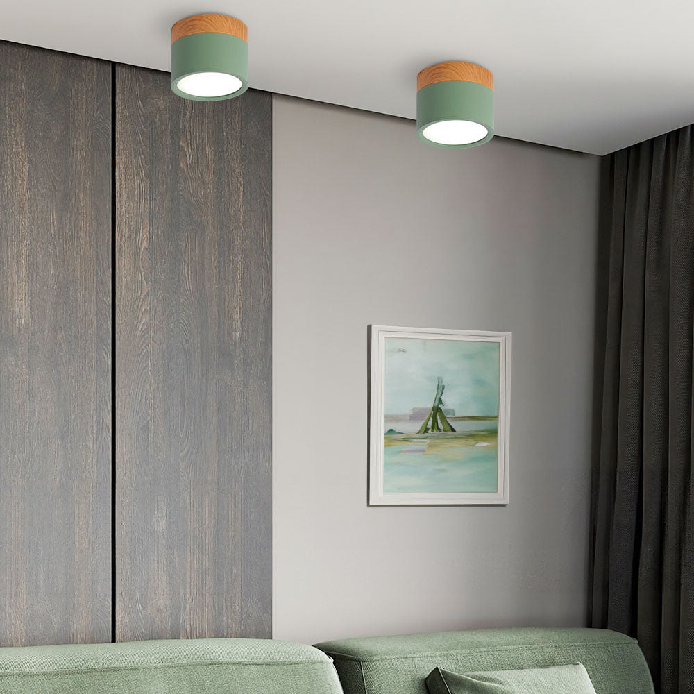 Surface Mounted Flush Mount Ceiling Light LED Lighting