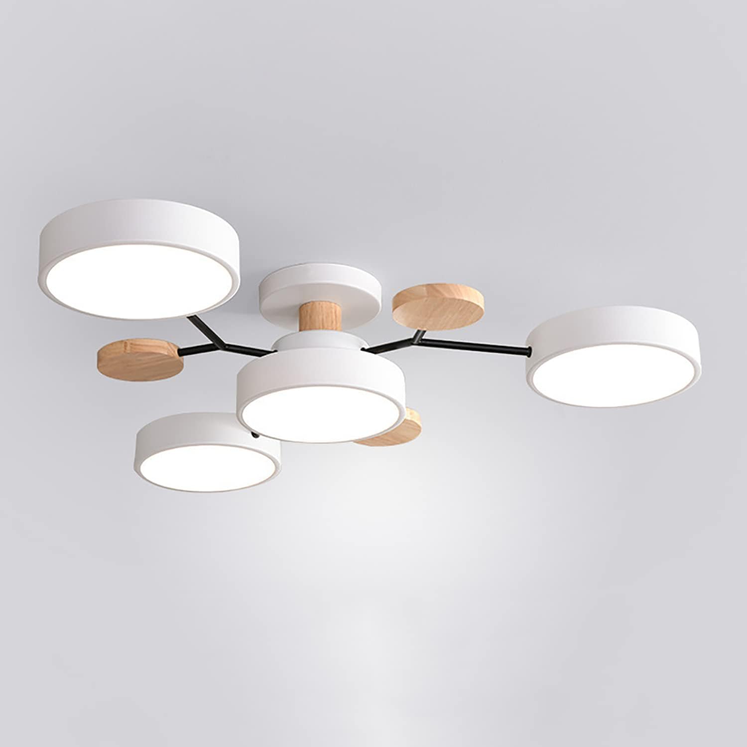 Flush Mount Ceiling Light Ring Design