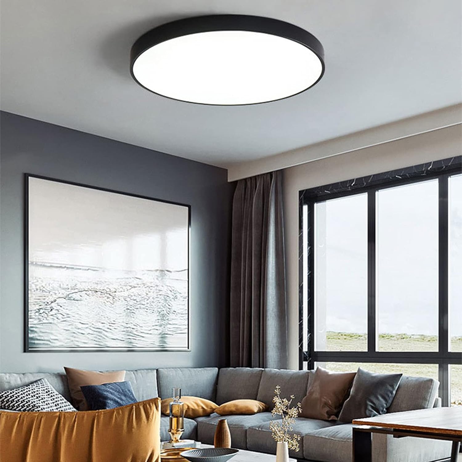 Flush Mount Ceiling Light LED Lighting