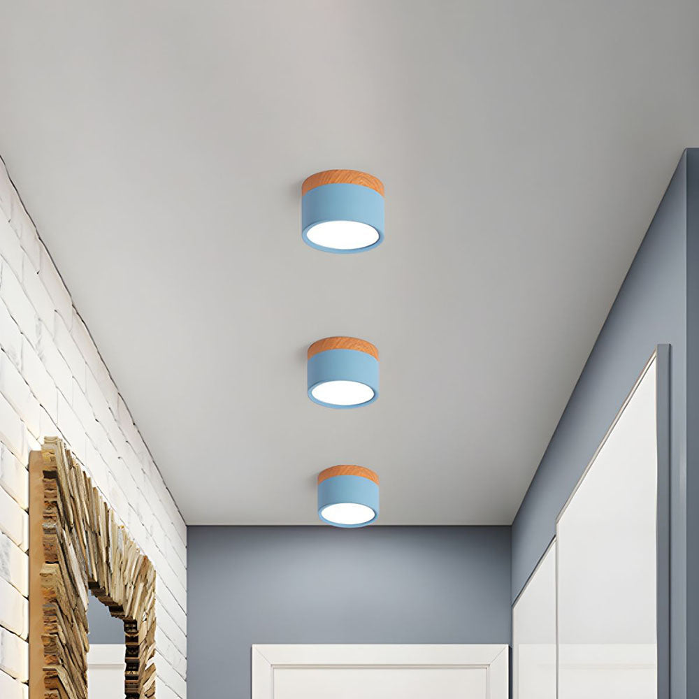 Surface Mounted Flush Mount Ceiling Light LED Lighting