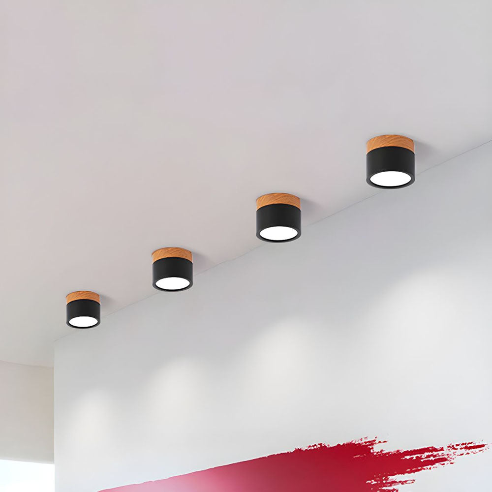 Surface Mounted Flush Mount Ceiling Light LED Lighting