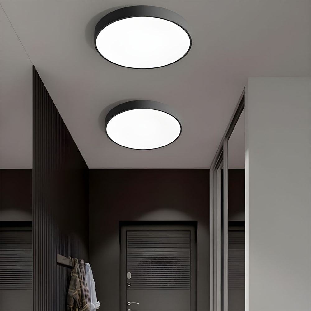 Flush Mount Ceiling Light LED Lighting