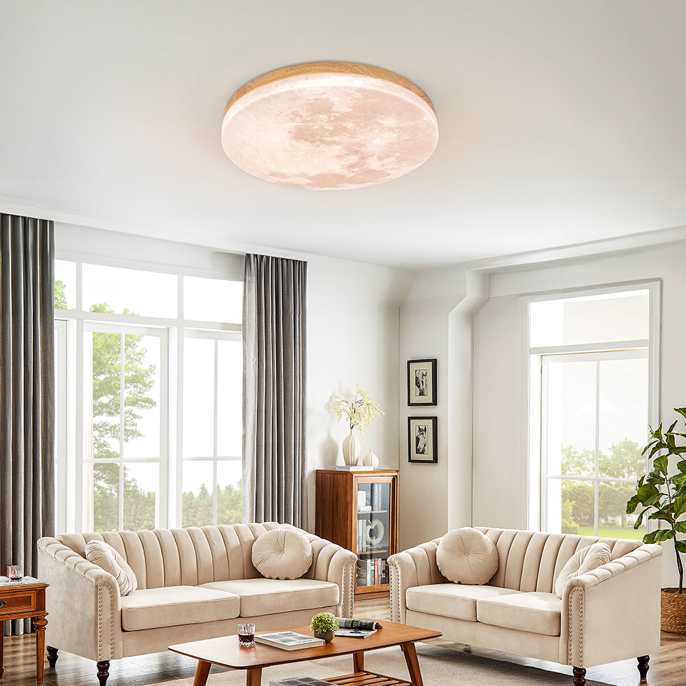 Flush Mount Round Frosted Ceiling Light