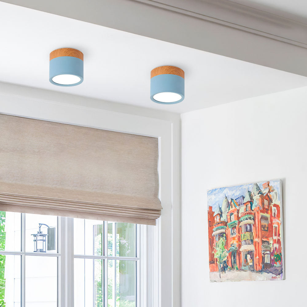 Surface Mounted Flush Mount Ceiling Light LED Lighting