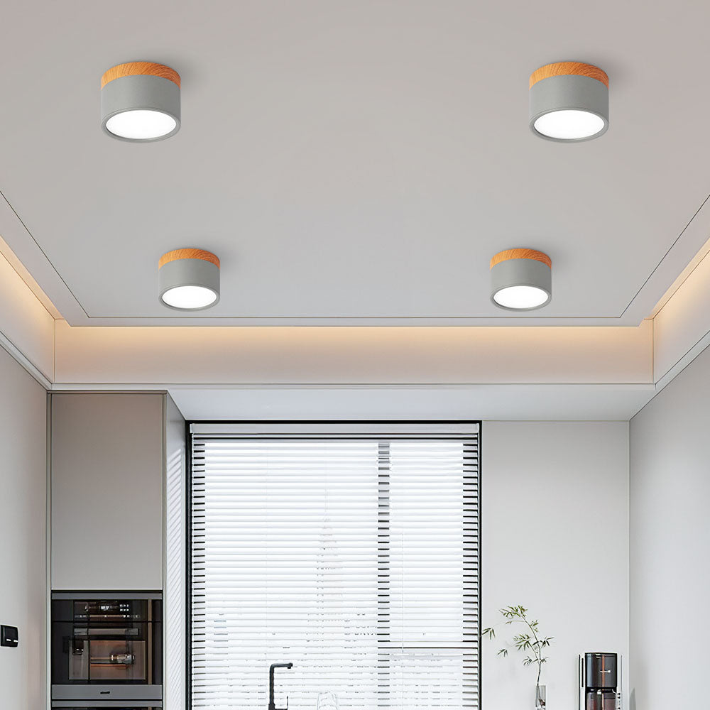 Surface Mounted Flush Mount Ceiling Light LED Lighting
