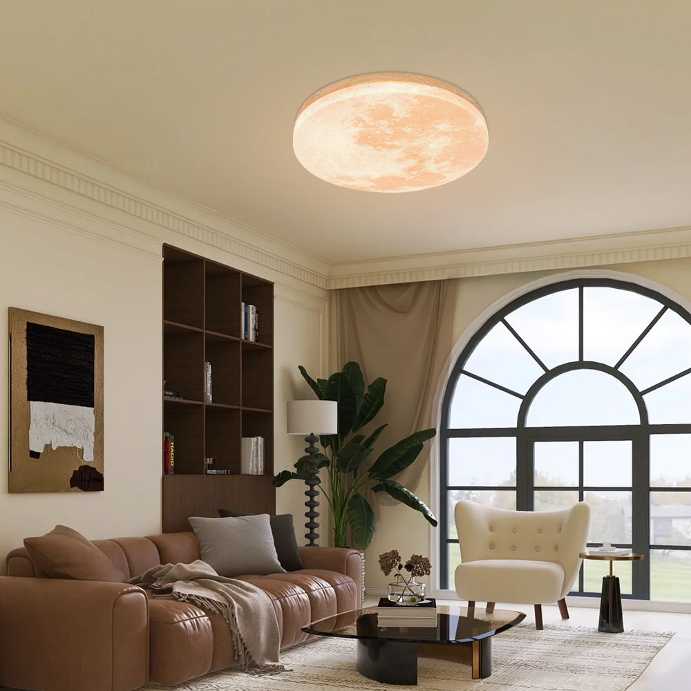 Flush Mount Round Frosted Ceiling Light