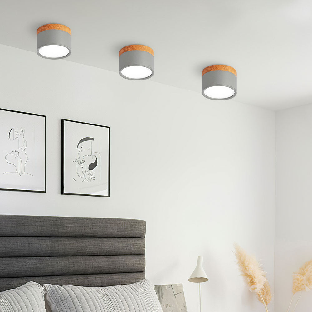 Surface Mounted Flush Mount Ceiling Light LED Lighting