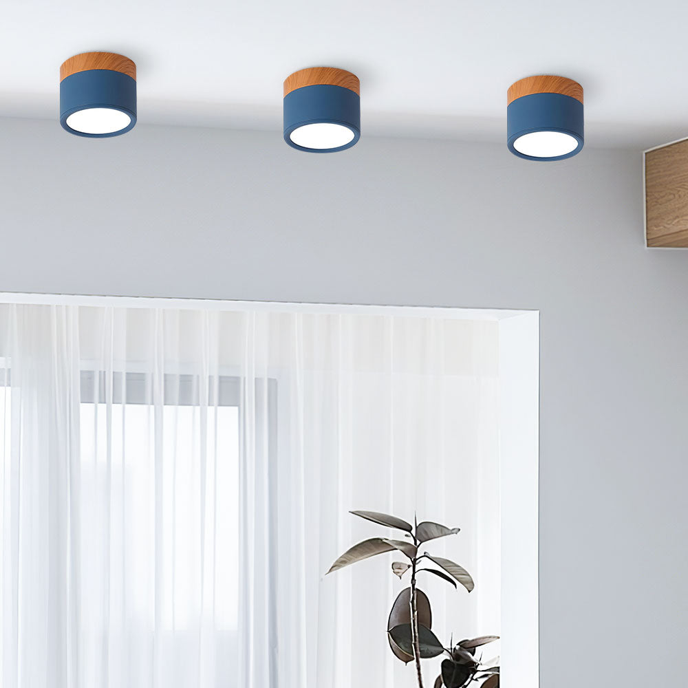 Surface Mounted Flush Mount Ceiling Light LED Lighting