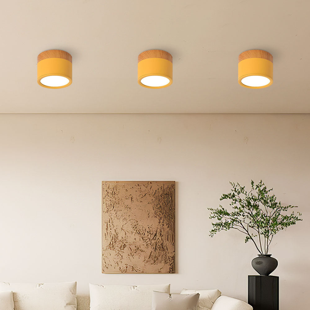 Surface Mounted Flush Mount Ceiling Light LED Lighting