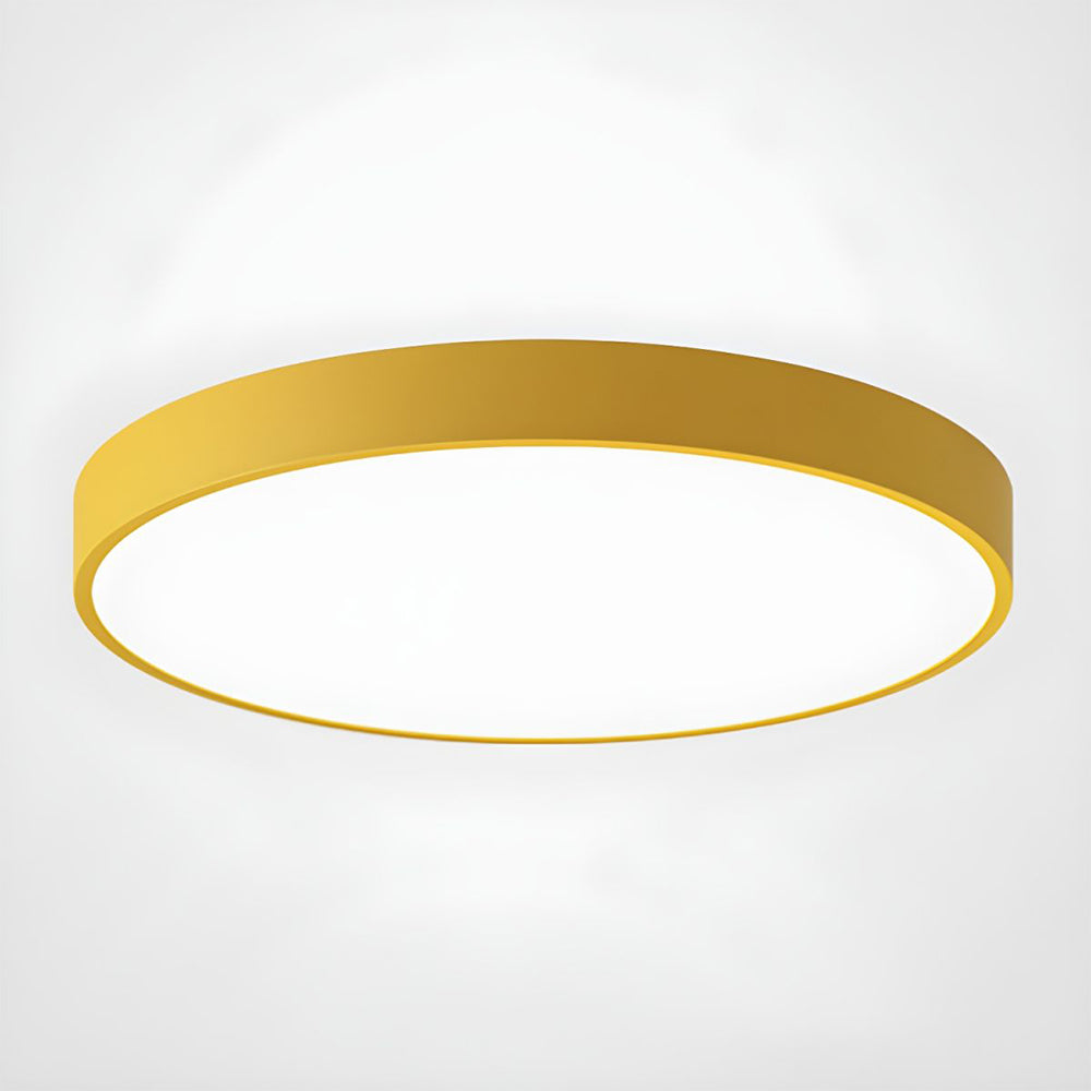 Flush Mount Ceiling Light LED Lighting