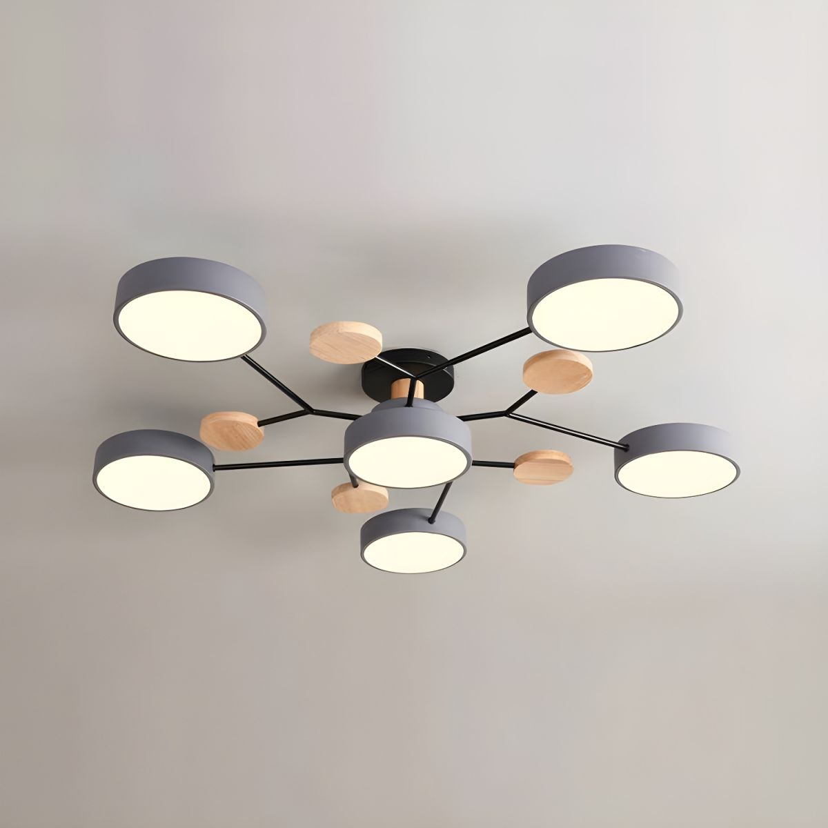 Flush Mount Ceiling Light Ring Design
