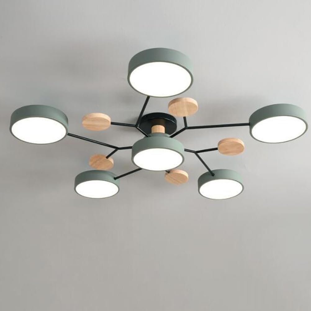 Flush Mount Ceiling Light Ring Design
