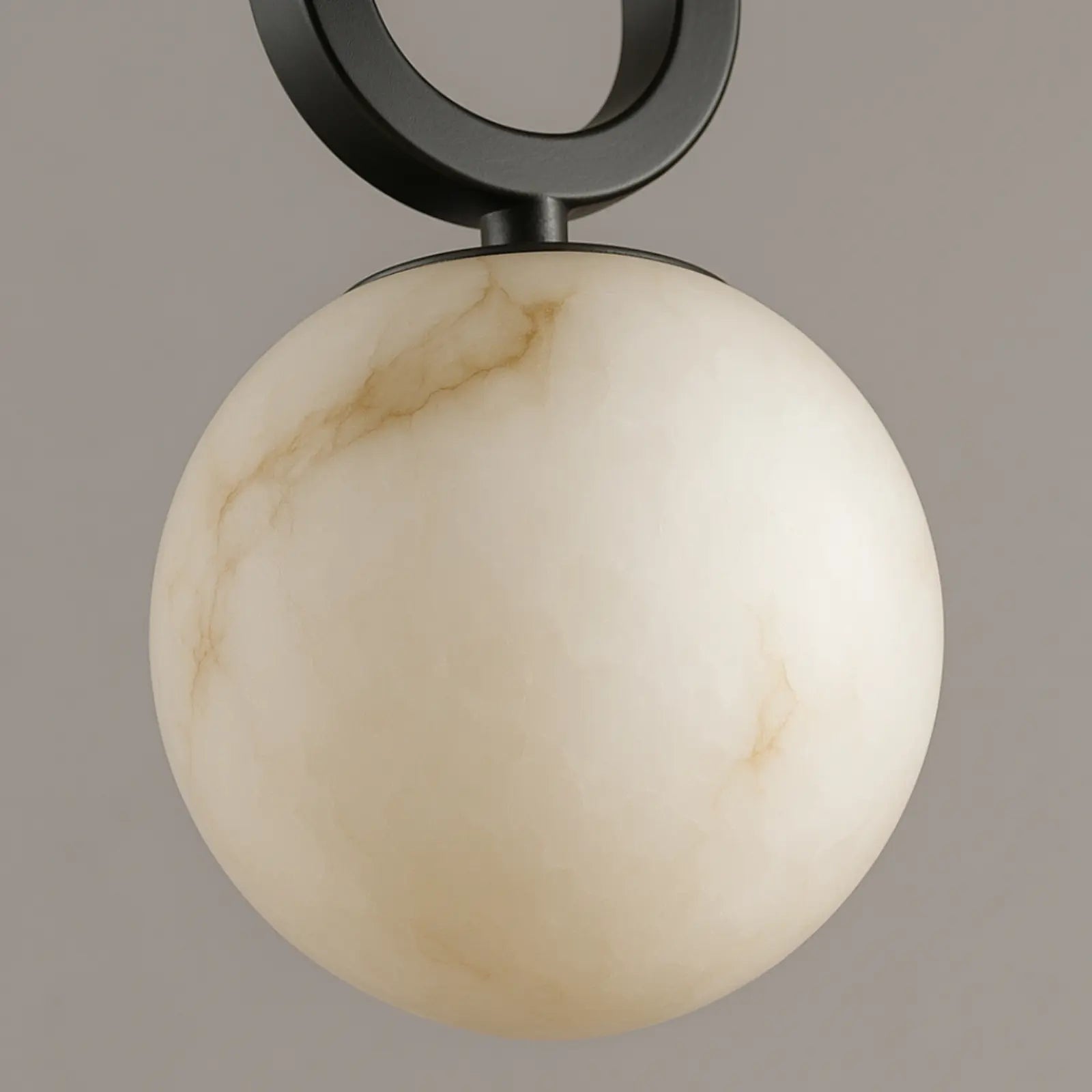 Adjustable Mounted Round Pendant Ceiling Light