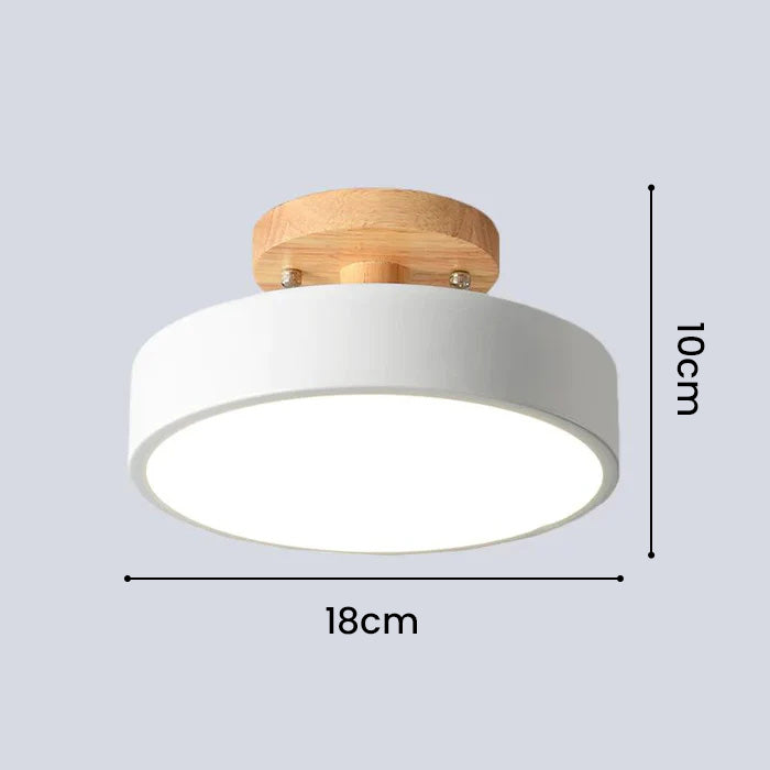 Circular Flush Mount Ceiling Light