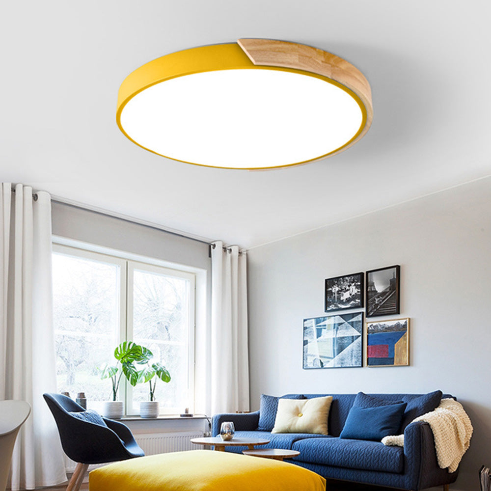 Low Profile Flush Mount Ceiling Light Dimmable Lighting