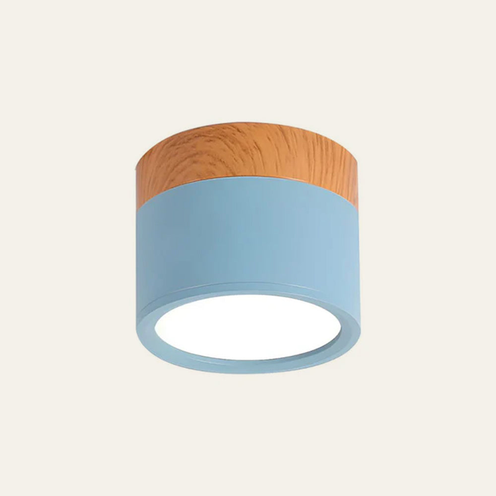 Surface Mounted Flush Mount Ceiling Light LED Lighting