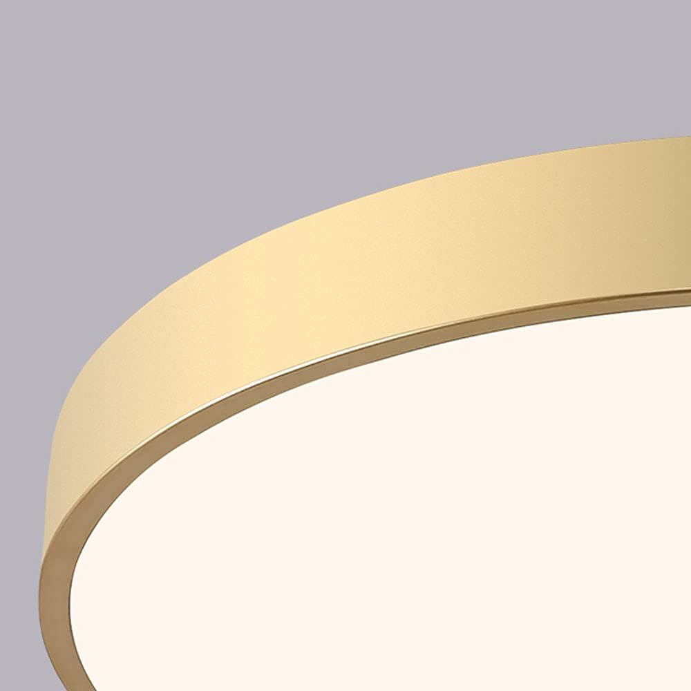 Flush Mount Ceiling Light LED Lighting