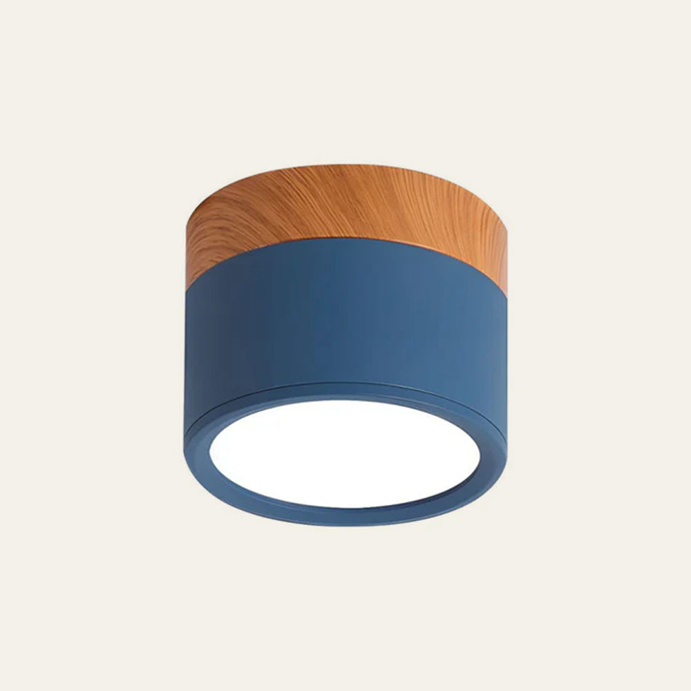 Surface Mounted Flush Mount Ceiling Light LED Lighting