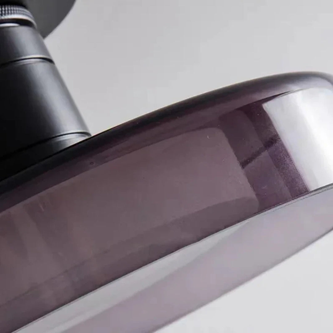 Round Flush Mount Wall Ceiling Light