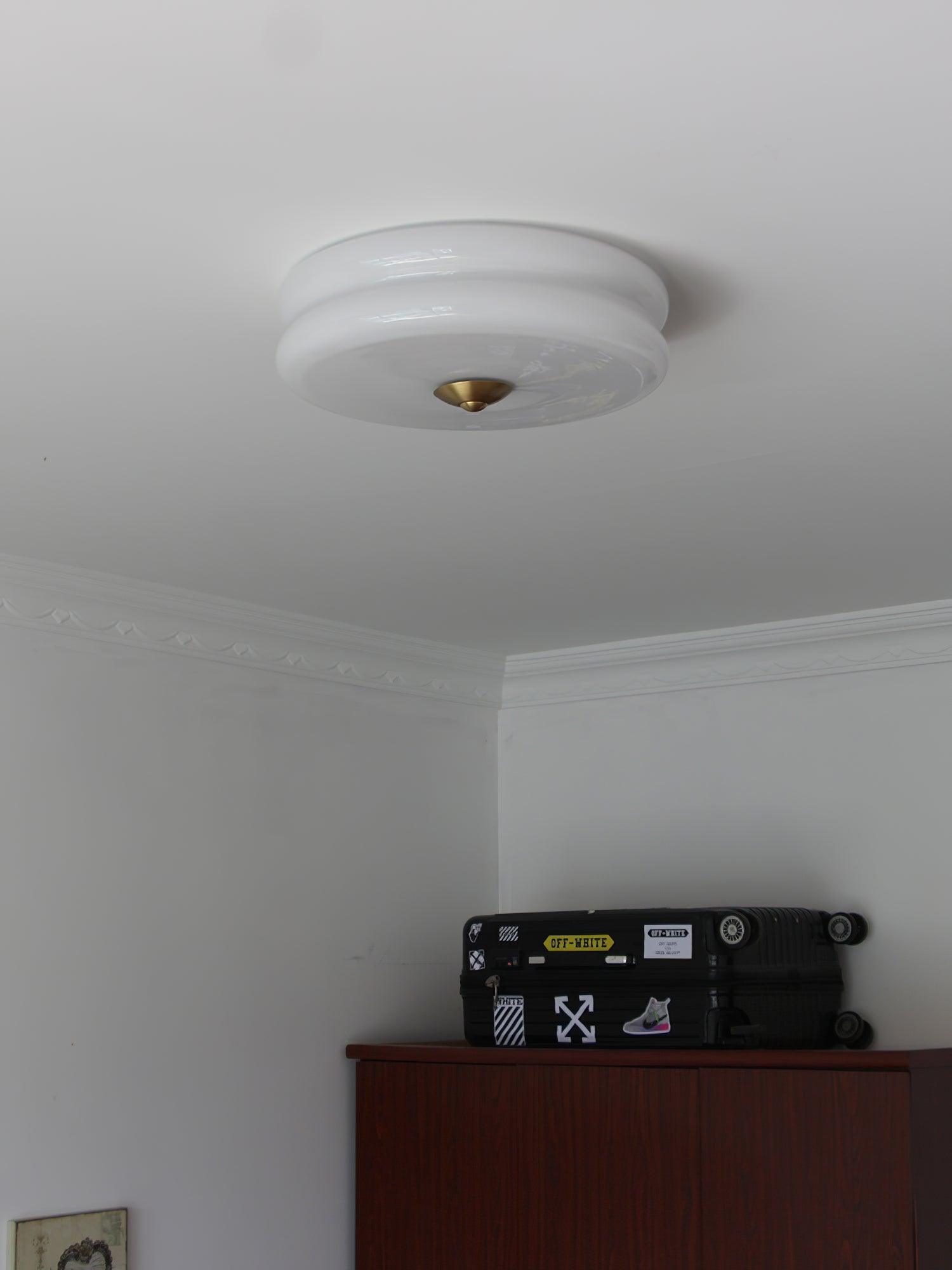 Flush Mount Dimmable Round Ceiling Light
