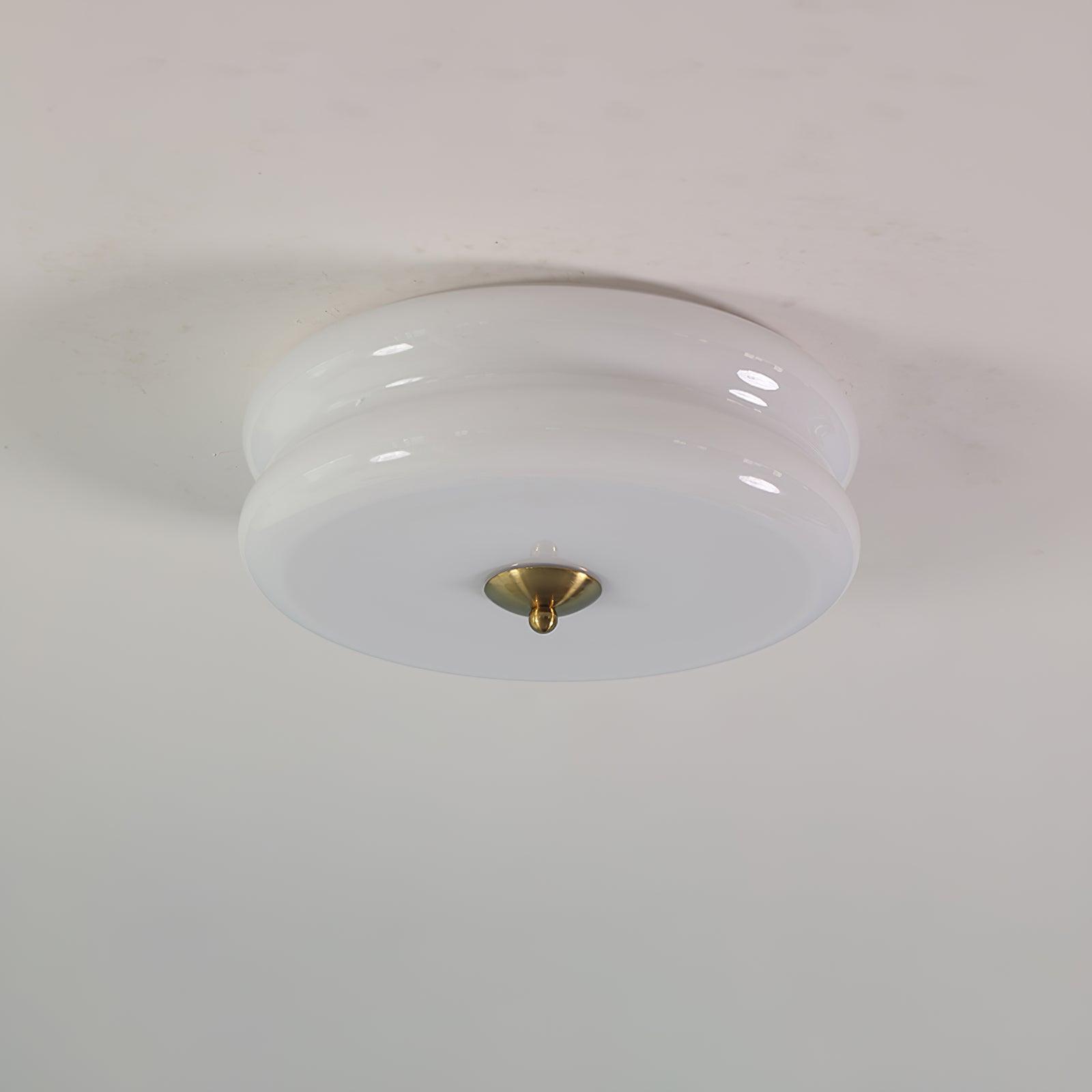Flush Mount Dimmable Round Ceiling Light