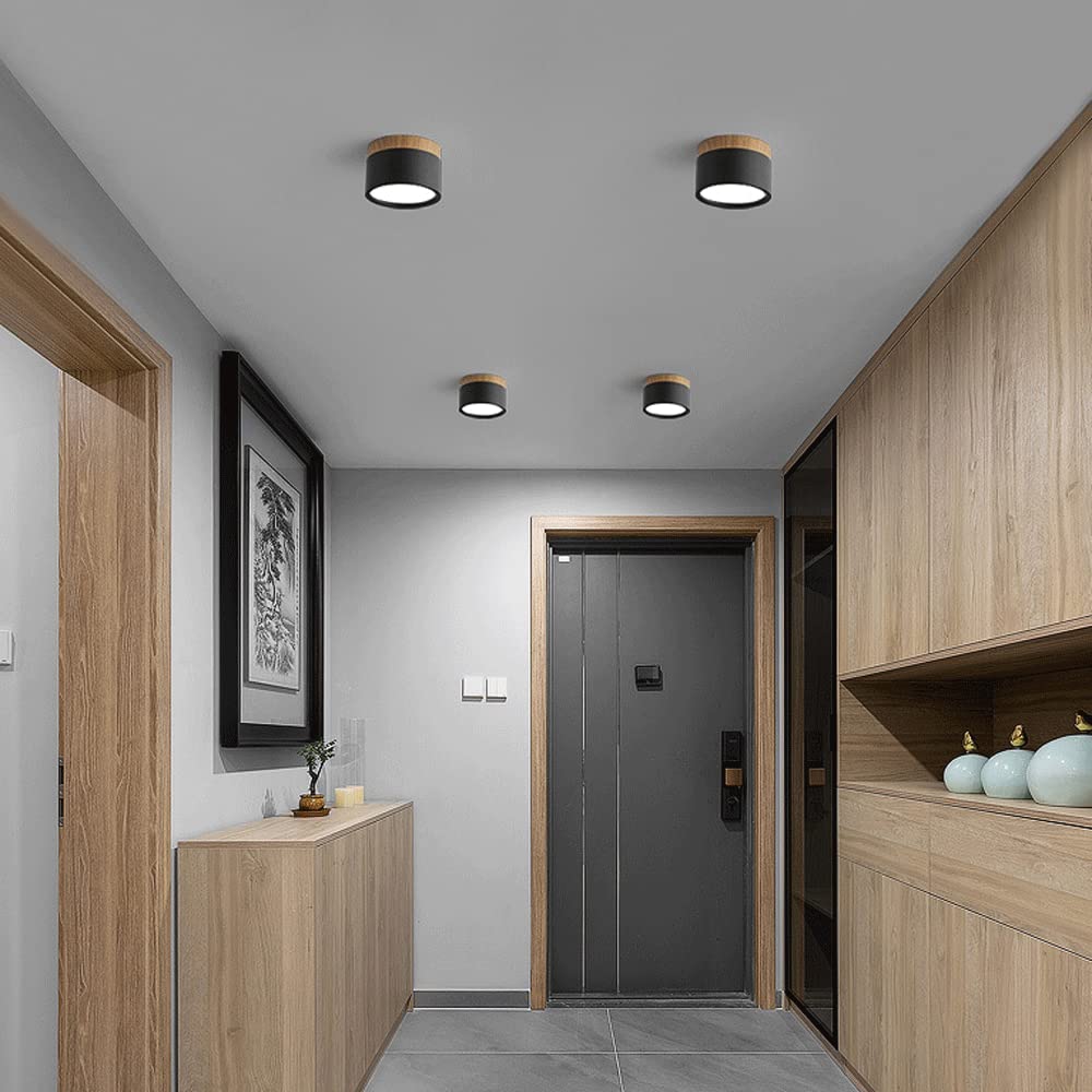 Surface Mounted Flush Mount Ceiling Light LED Lighting