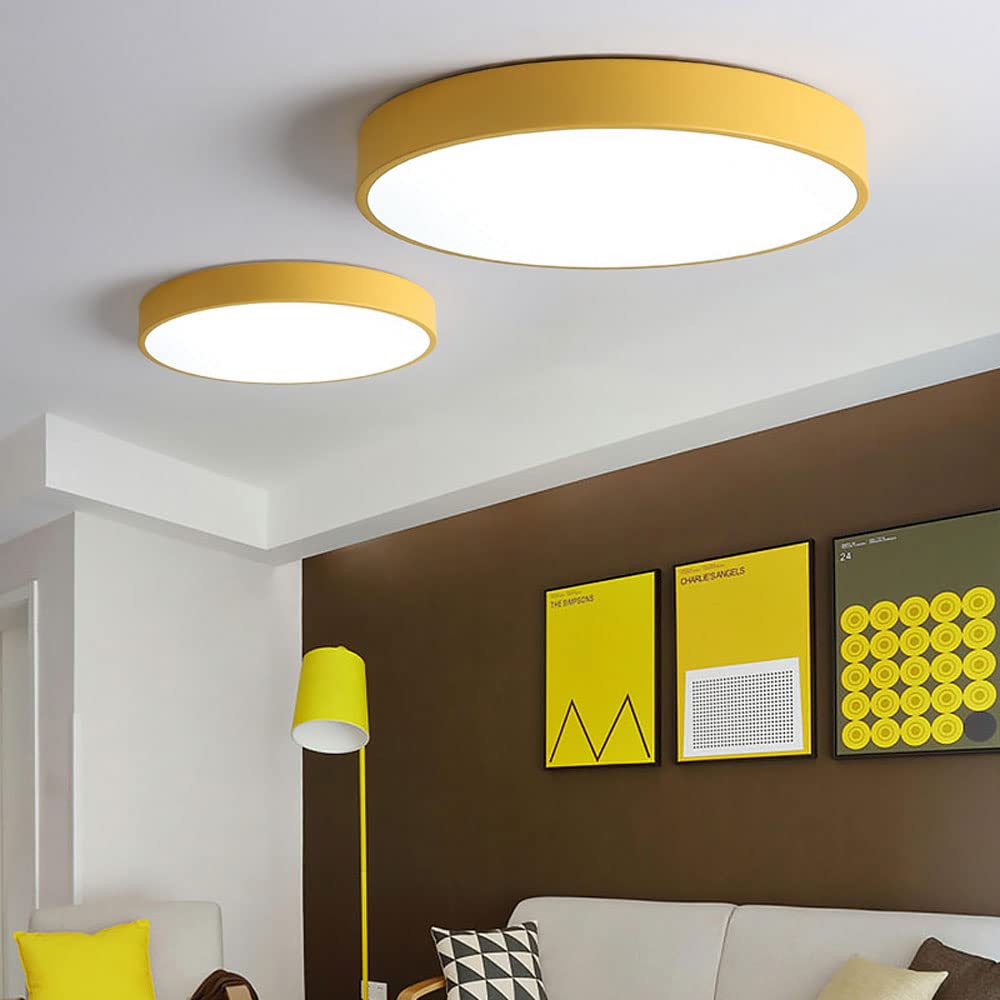 Flush Mount Ceiling Light LED Lighting
