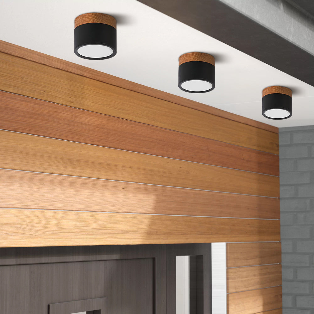 Surface Mounted Flush Mount Ceiling Light LED Lighting