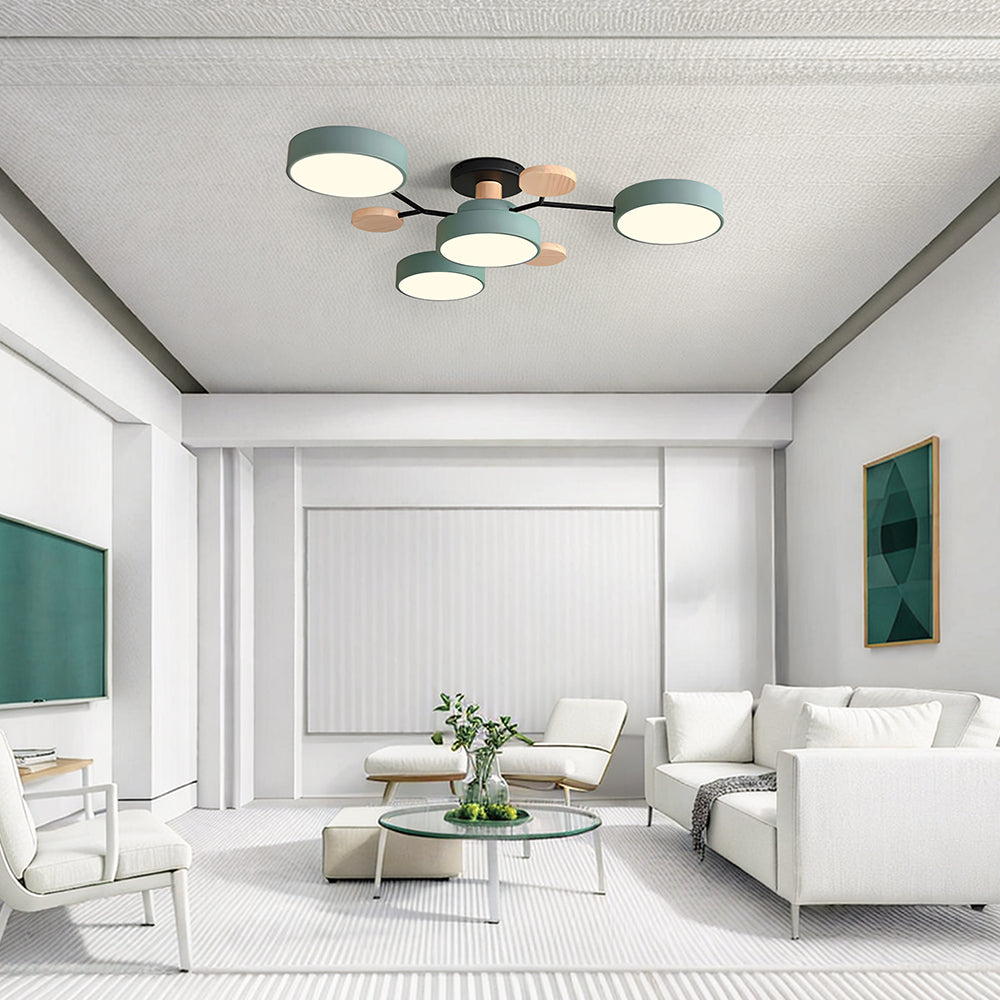 Flush Mount Ceiling Light Ring Design