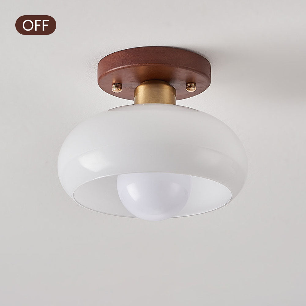 Bowl Shade Flush Mount Ceiling Lamp