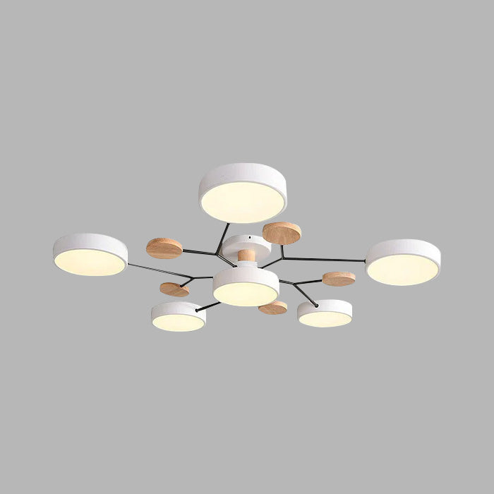 Flush Mount Ceiling Light Ring Design