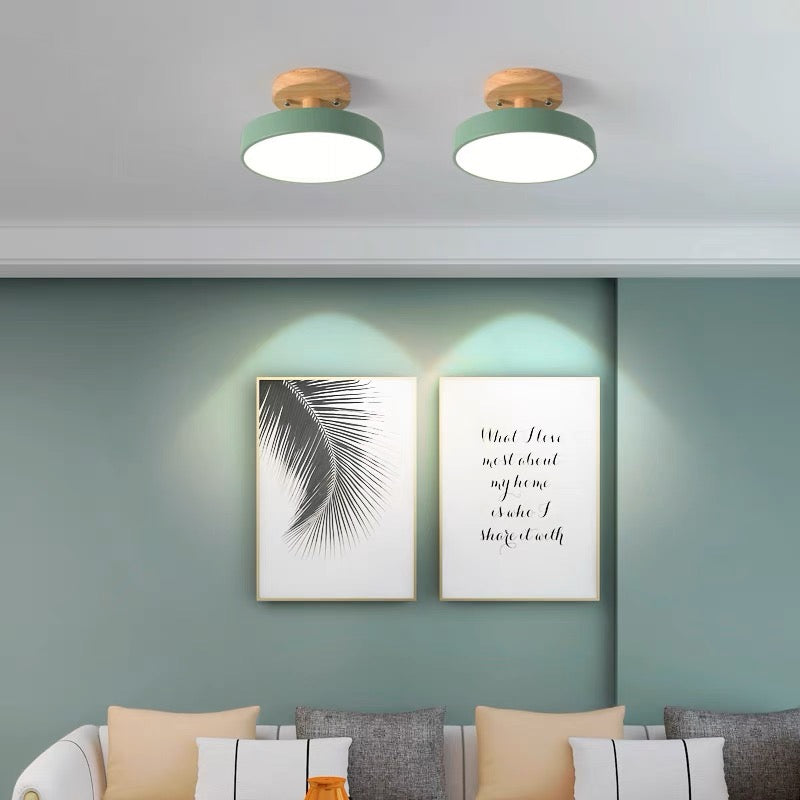 Circular Flush Mount Ceiling Light