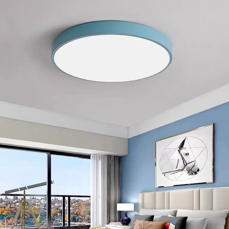 Flush Mount Ceiling Light LED Lighting