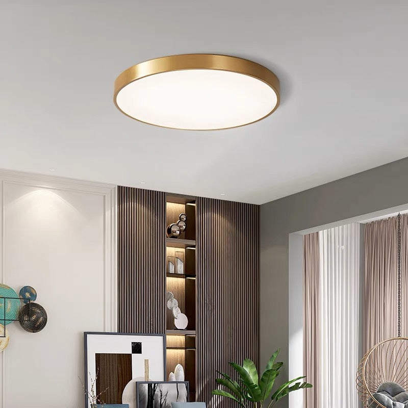 Flush Mount Ceiling Light LED Lighting
