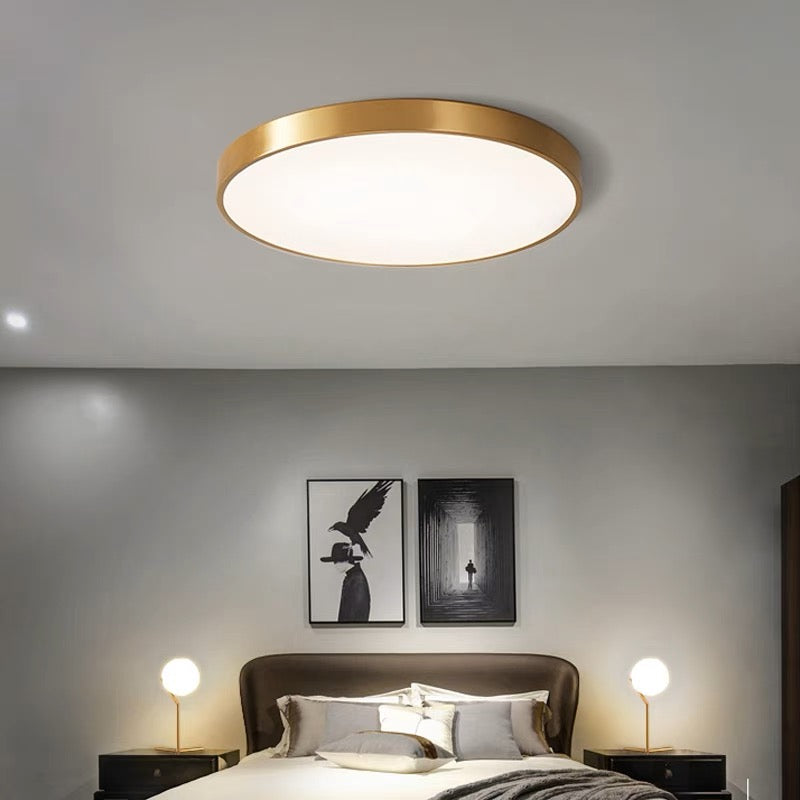 Flush Mount Ceiling Light LED Lighting