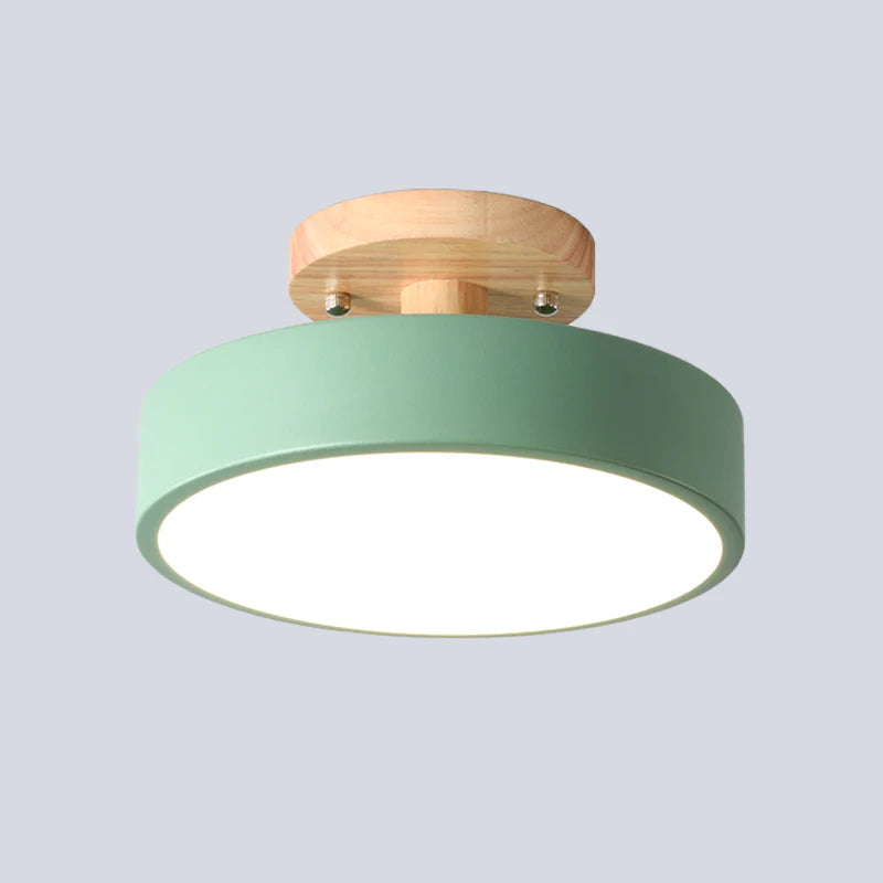 Circular Flush Mount Ceiling Light