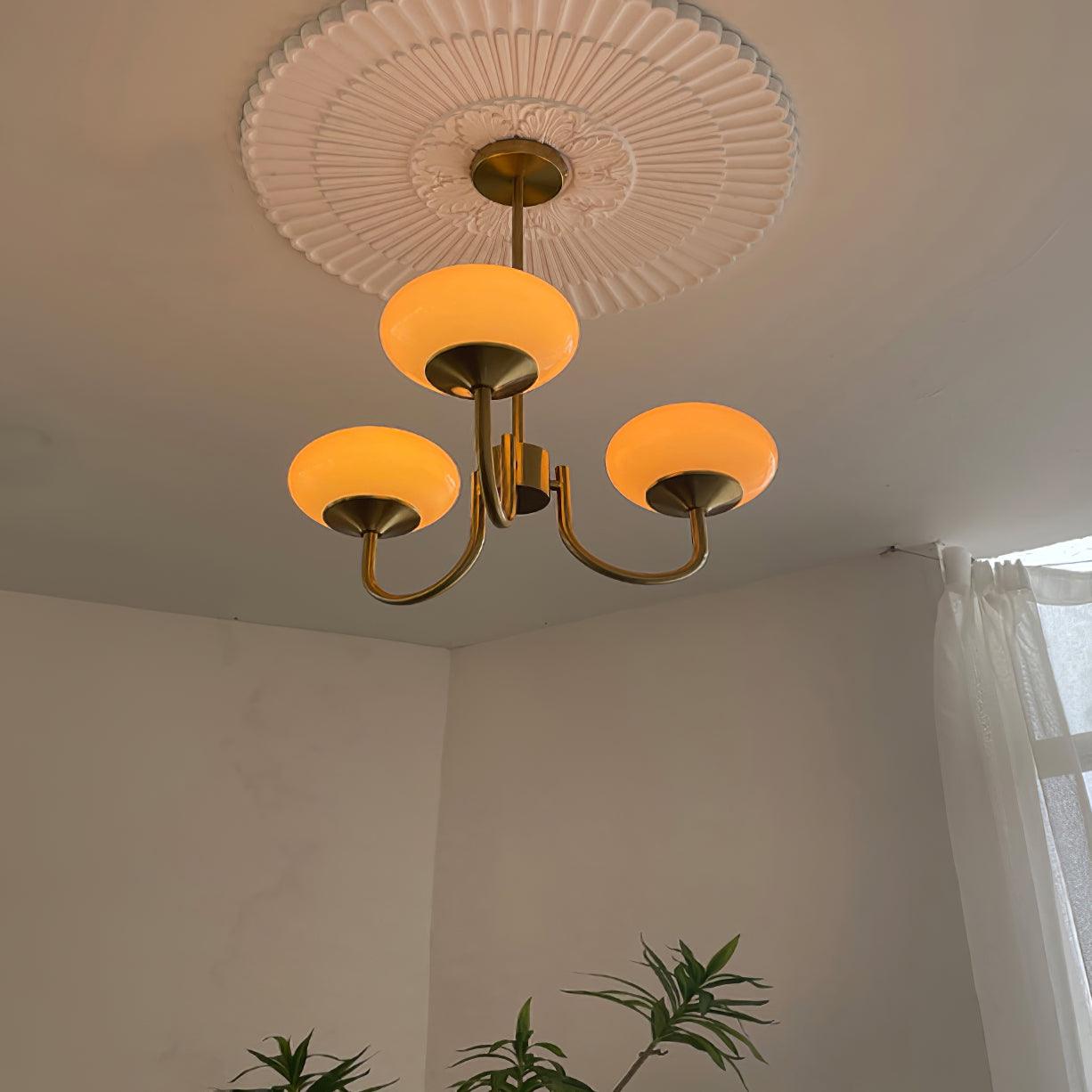 Ceiling Mounted Chandelier Ceiling Light Ring Design
