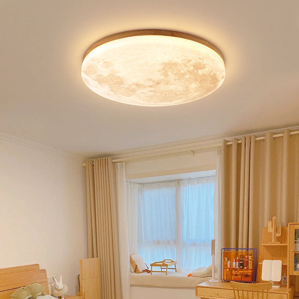 Flush Mount Round Frosted Ceiling Light