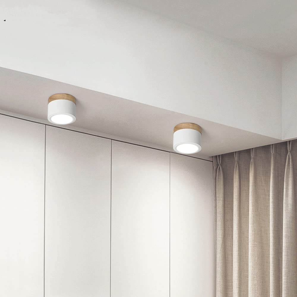 Surface Mounted Flush Mount Ceiling Light LED Lighting