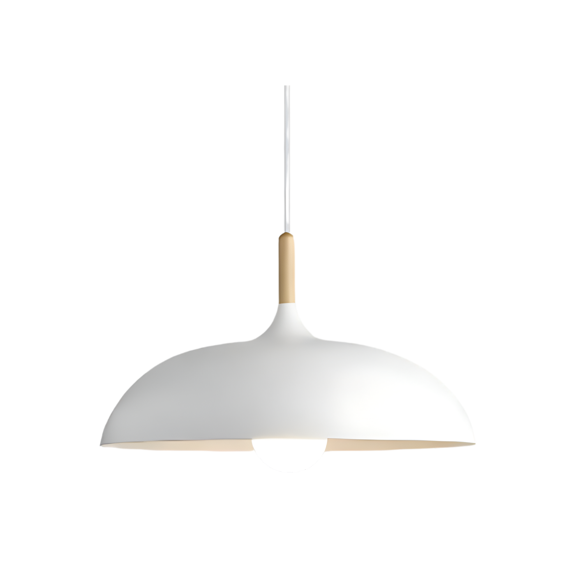 Round Pendant Ceiling Light
