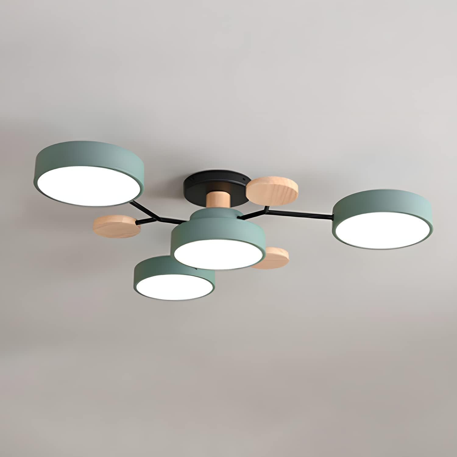 Flush Mount Ceiling Light Ring Design