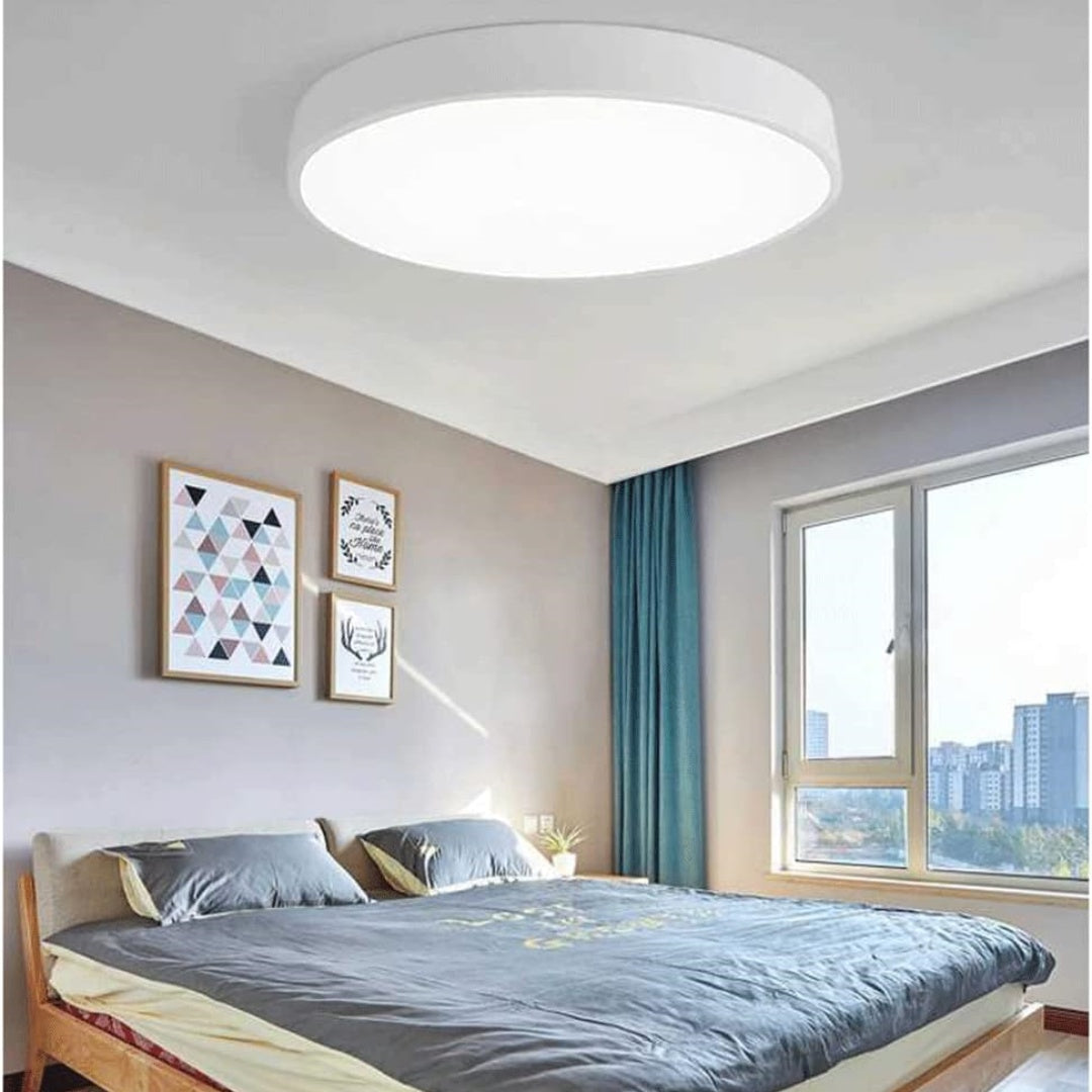 Flush Mount Ceiling Light LED Lighting