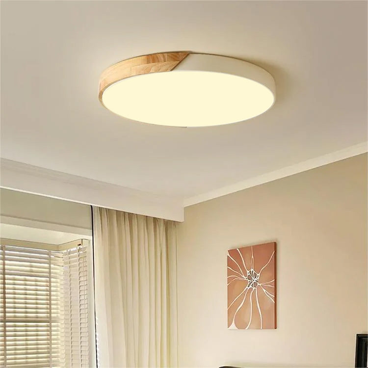 Low Profile Flush Mount Ceiling Light Dimmable Lighting