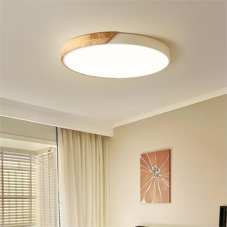 Low Profile Flush Mount Ceiling Light Dimmable Lighting