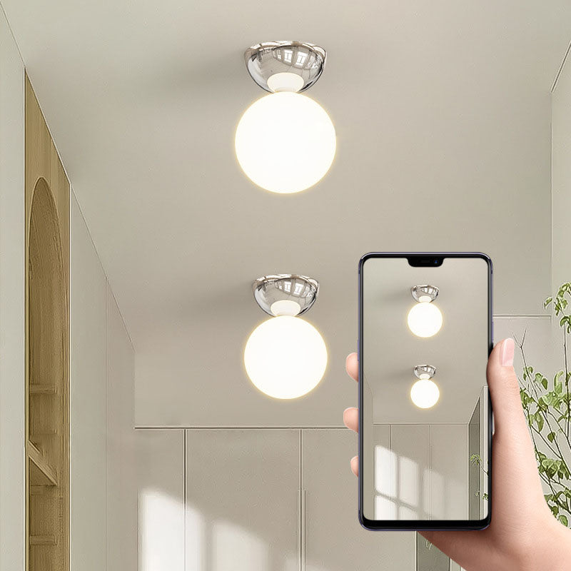 Single Globe Flush Mount Ceiling Lamp