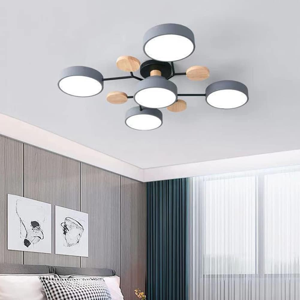Flush Mount Ceiling Light Ring Design