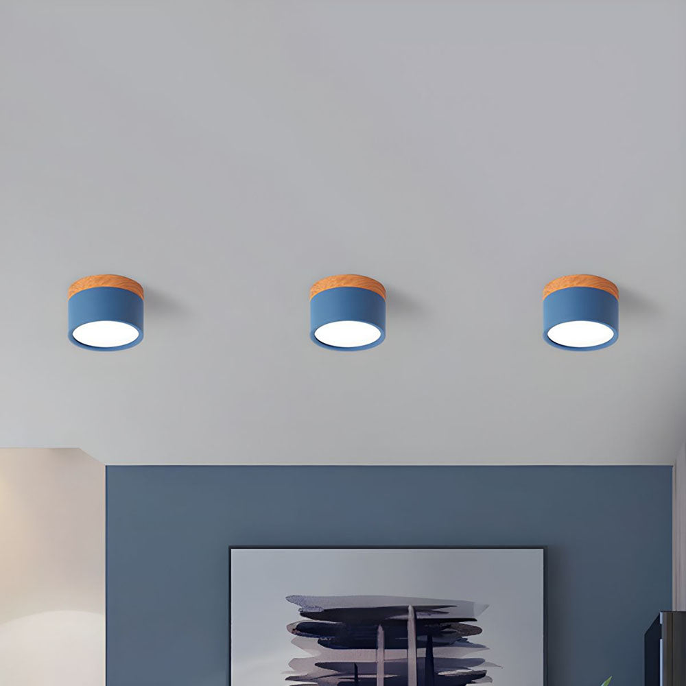 Surface Mounted Flush Mount Ceiling Light LED Lighting